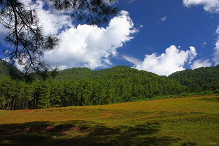 數(shù)碼設(shè)計(jì)與攝影社區(qū)的交融 開啟視覺創(chuàng)作新紀(jì)元